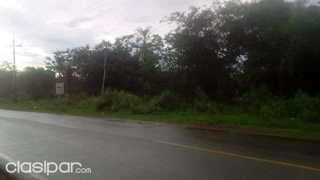 Tobatí – cordillera (s/ruta): 47 hectáreas ideales p/ loteamiento, 40.000.000 gs/ha
