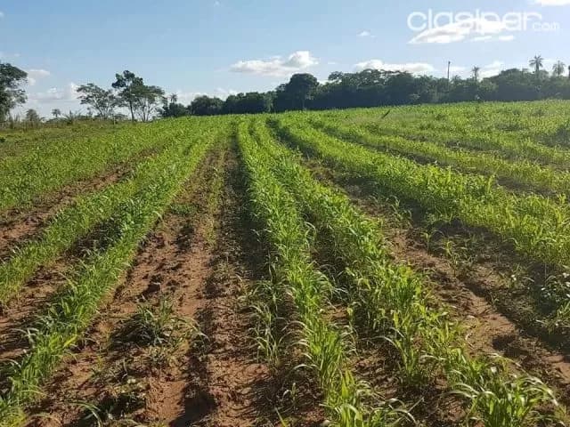 Tobatí (cordillera): Maravillosa estancia formada, 100 hectáreas en funcionamiento, foto 2