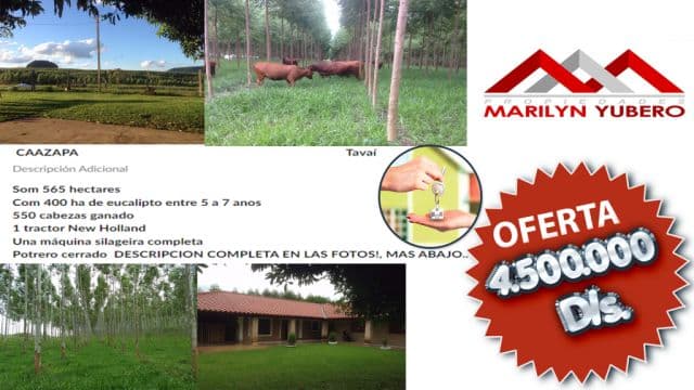 OFERTA!! Vendo Estancia en Caazapá Distrito de Tavaí...COD: CL 683