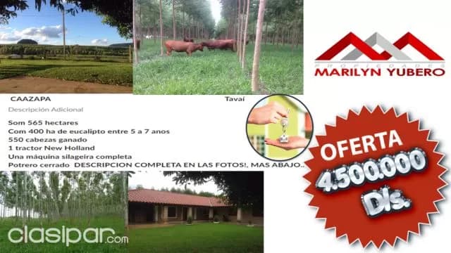OFERTA!! Vendo Estancia en Caazapá Distrito de Tavaí...COD: CL 683, foto 2