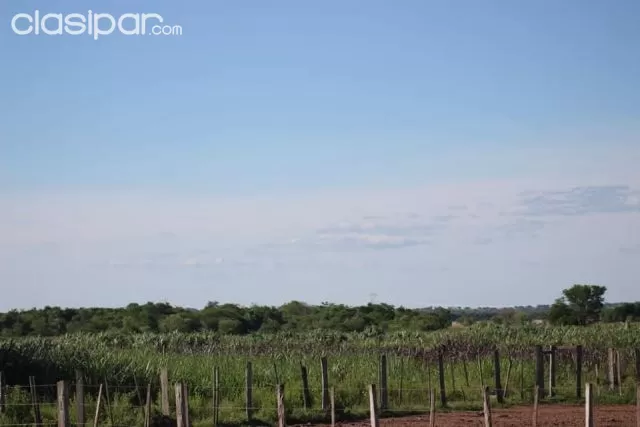 Nva. Colombia, cordilllera, ofertaza!!: Maravillosa granja, 12 has ideal p/ engorde, foto 4