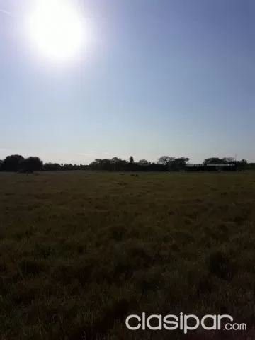 Campo Ganadero en Toro Pampa - 6555 Has — foto 3