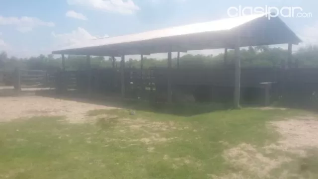 Campo Ganadero en Toro Pampa - 6555 Has — foto 4