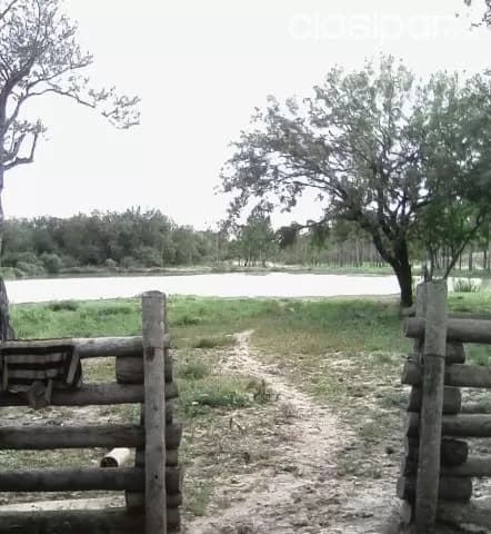 Campo Ganadero en Toro Pampa - 6555 Has — foto 5