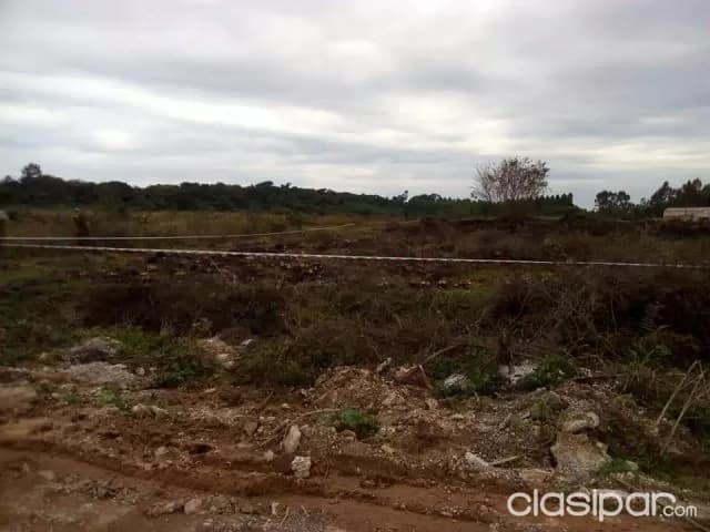 Hermoso terreno en la costanera de encarnacion — foto 5