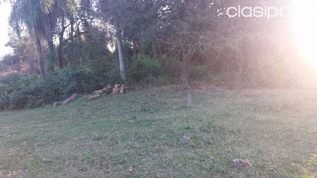 Oferta de 250 ha. en Nueva Colombia