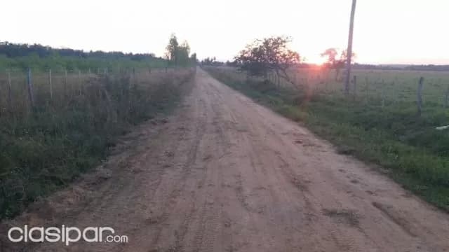 Oferta de 250 ha. en Nueva Colombia — foto 3