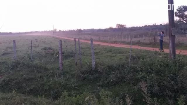 Oferta de 250 ha. en Nueva Colombia — foto 4