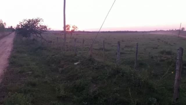 Oferta de 250 ha. en Nueva Colombia — foto 5