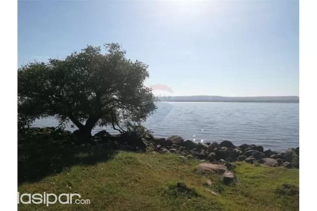 Terreno frente al lago ypacarai en costalago — foto 4