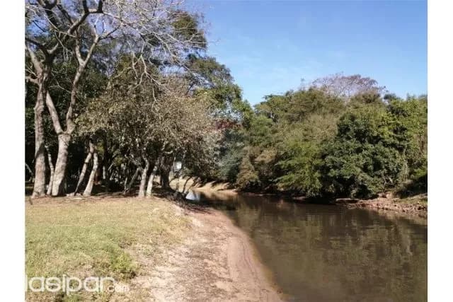 Terreno frente al lago ypacarai en costalago — foto 5