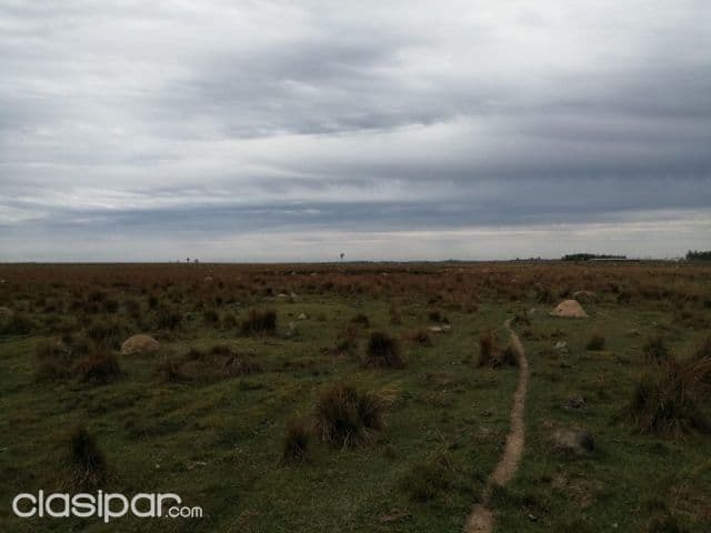 43 hectareas en san jose de los arroyos