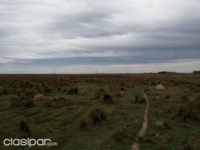 43 hectareas en san jose de los arroyos — foto 2