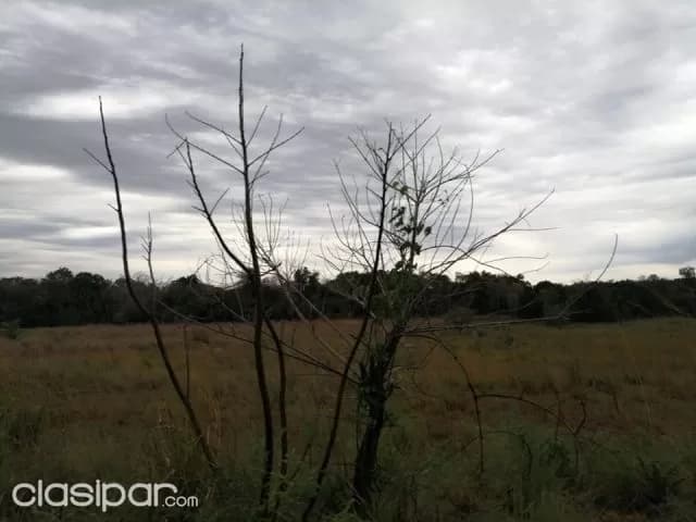 43 hectareas en san jose de los arroyos — foto 3