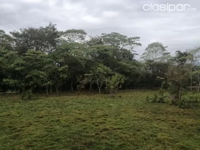 43 hectareas en san jose de los arroyos — foto 4