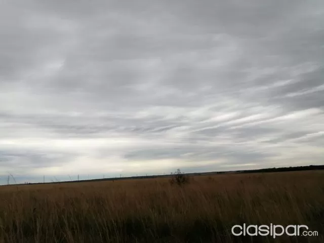 142 hectareas en san jose de los arroyos, foto 2