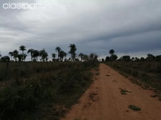 142 hectareas en san jose de los arroyos, foto 3
