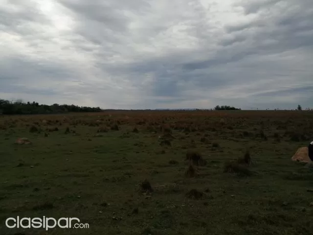 142 hectareas en san jose de los arroyos, foto 4