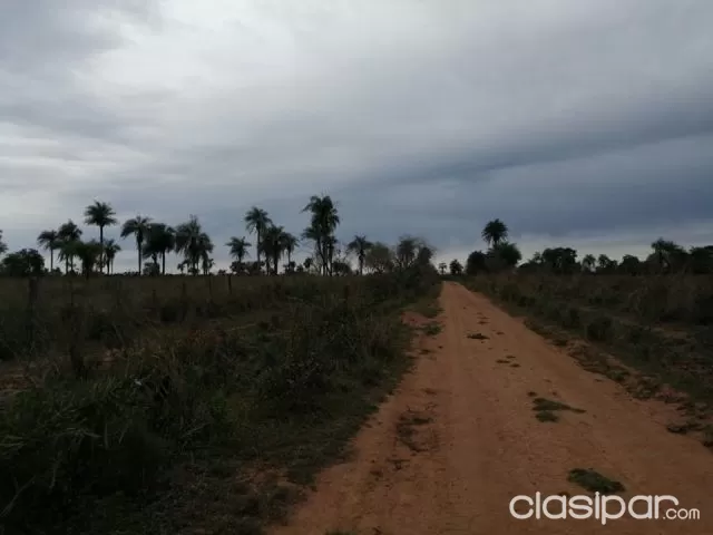 142 hectareas en san jose de los arroyos, foto 5