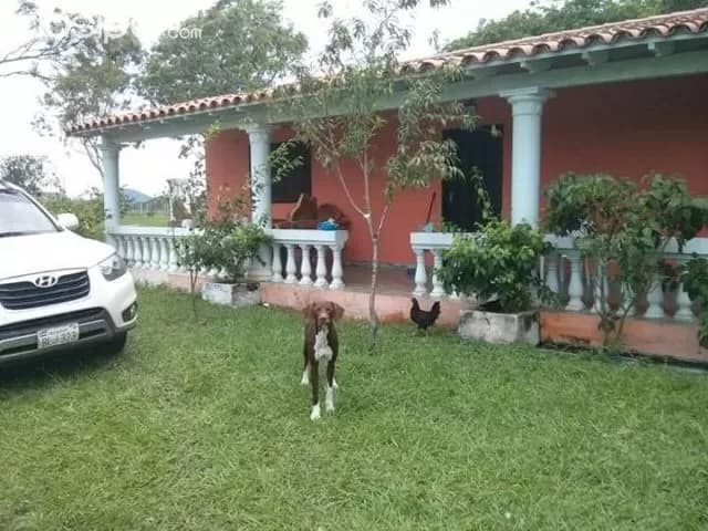 Escobar (paraguarí): 180 hectáreas, estancia modelo en funcionamiento, agroganadera, foto 2