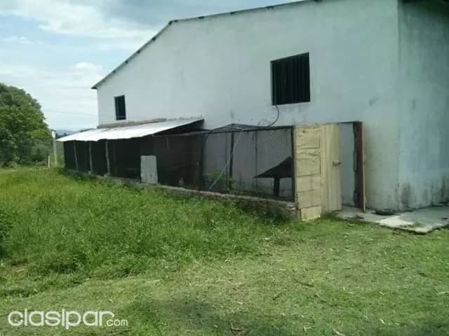 Escobar (paraguarí): 180 hectáreas, estancia modelo en funcionamiento, agroganadera, foto 5