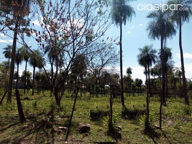 Caacupe, cordillera: 27.700 m2 ideales p/ desarrollos inmobiliarios, 380.000 usd, foto 1