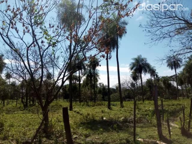 Caacupe, cordillera: 27.700 m2 ideales p/ desarrollos inmobiliarios, 380.000 usd, foto 3