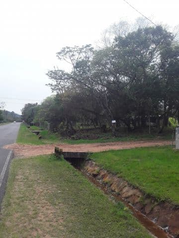 Atencion inversionistas-alquilo 910 m2 esquina sobre ruta asfaltada, foto 1
