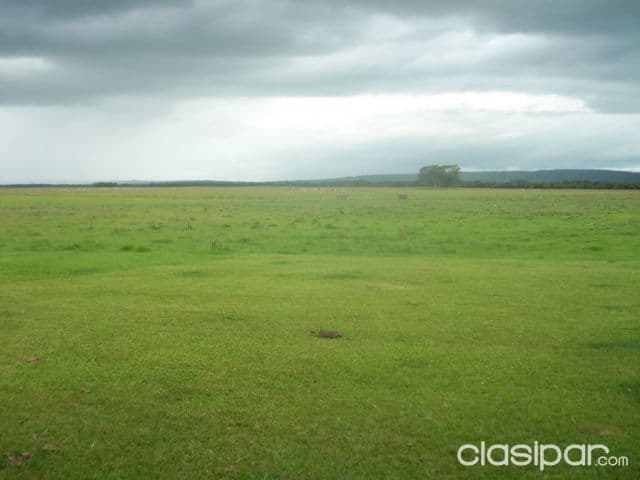 Caazapá sobre ruta asfaltada vendo 150 has zona maciel, foto 1