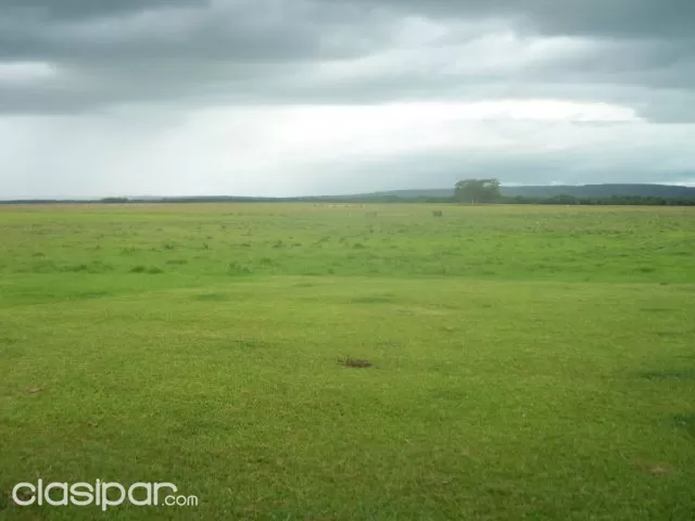 Caazapá sobre ruta asfaltada vendo 150 has zona maciel, foto 2
