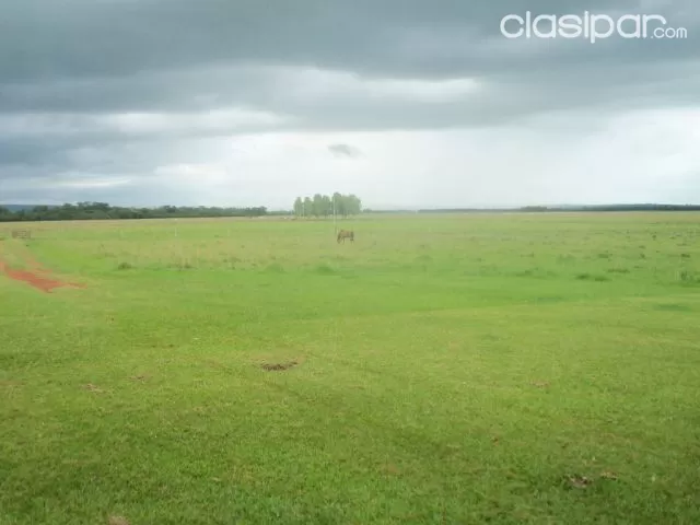 Caazapá sobre ruta asfaltada vendo 150 has zona maciel, foto 3