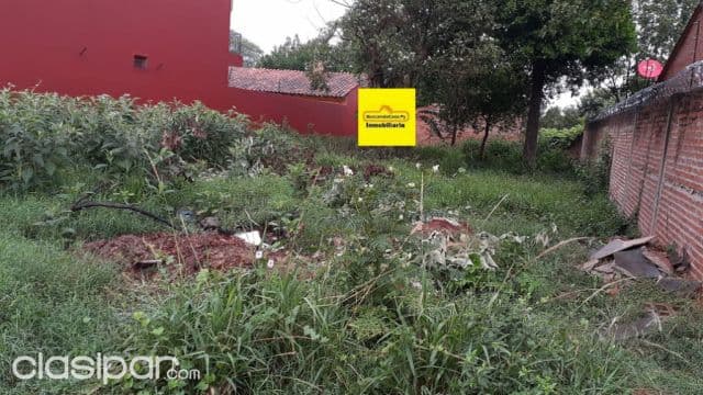 Terreno en Luque. F3184