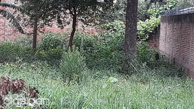 Terreno en Luque. F3184, foto 4