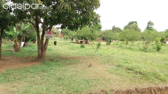 Terreno Km 30 Lado Monday Por: 70 MILLONES Superficie 361 m2, foto 1