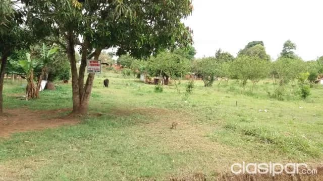 Terreno Km 30 Lado Monday Por: 70 MILLONES Superficie 361 m2, foto 2