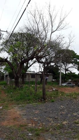 Villa Elisa 457 m2 prox. Américo pico, acceso sur: Ideal p/ empresas, depósitos etc — foto 1