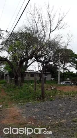 Villa Elisa 457 m2 prox. Américo pico, acceso sur: Ideal p/ empresas, depósitos etc — foto 2