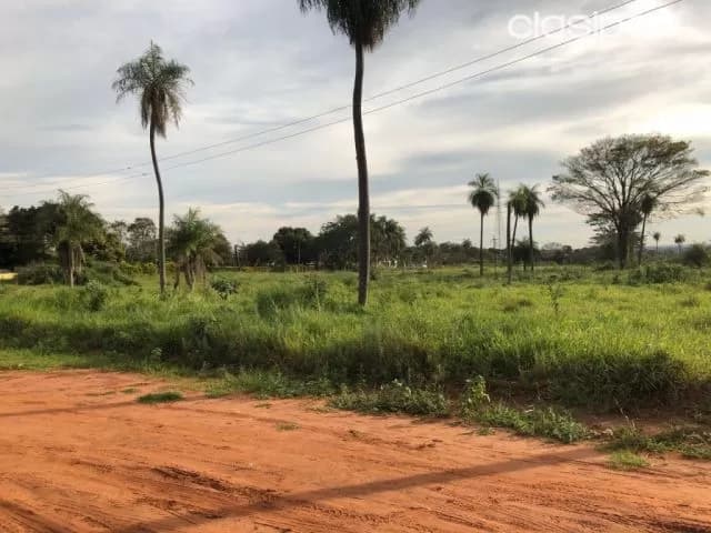 Terrenos en Capiata Ruta 2 Km 18, foto 3