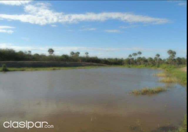 Villa hayes, acepar: Maravillosas 228 has s/ río paraguay, ideal p/ puerto y otros