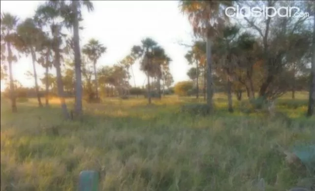 Villa hayes, acepar: Maravillosas 228 has s/ río paraguay, ideal p/ puerto y otros, foto 4