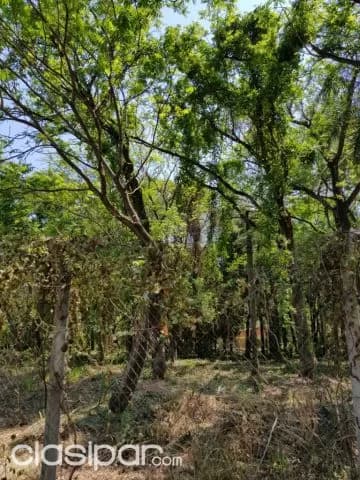 Importante terreno detras de shopping Pinedo — foto 4