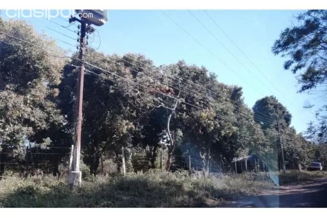 Terreno con salida a 3 calles 2.486, foto 5
