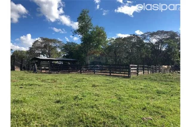 Campo en Paraguarí Zona la Colmena, foto 3