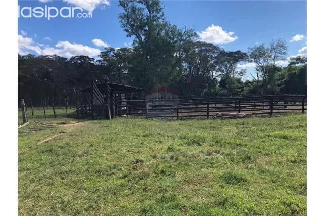 Campo en Paraguarí Zona la Colmena, foto 4