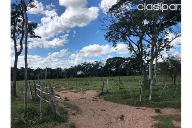 Campo en Paraguarí Zona la Colmena, foto 5