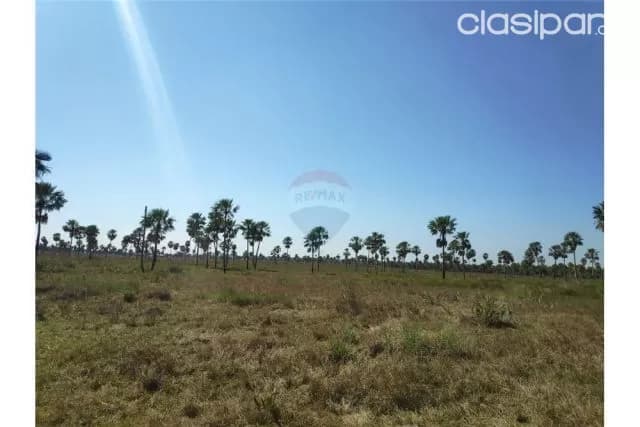 Propiedad de 87 hectareas sobre ruta 3 km 53 - 589,400 usd, foto 4