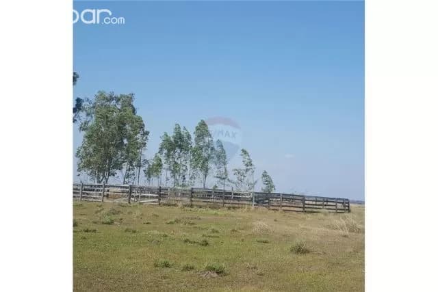 Propiedad de 288 Has. en Arroyos y Esteros 489,600 USD, foto 3
