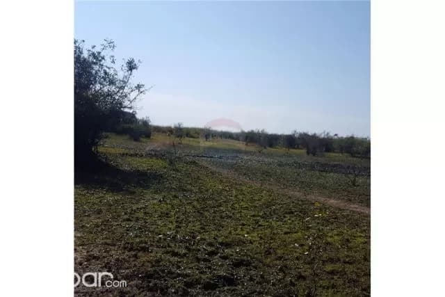 Propiedad de 288 Has. en Arroyos y Esteros 489,600 USD, foto 4