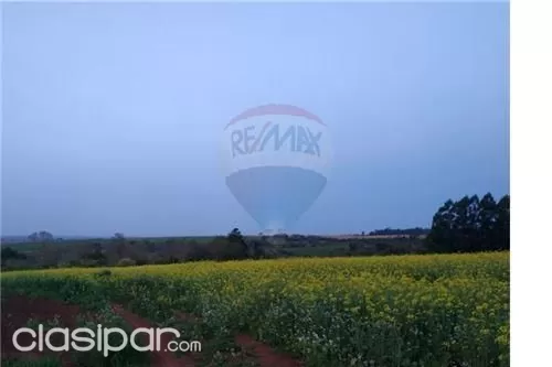 17.5 has en venta - colonia vacay | bella vista 175,000 usd, foto 4