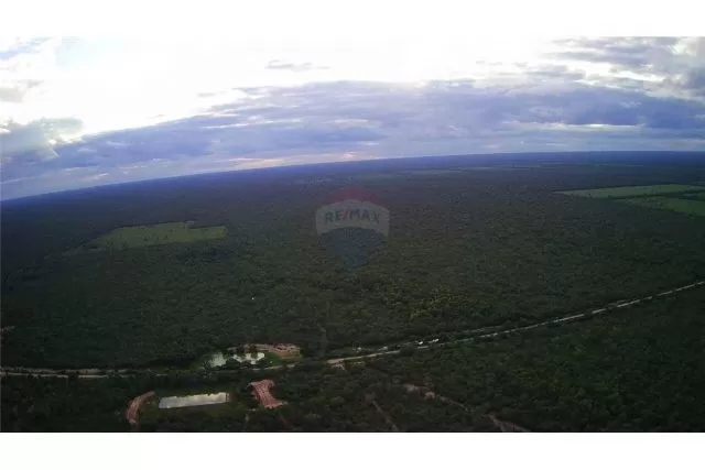 campo en la zona Pirizal,Boqueron 2,500,000,000 ₲ — foto 2